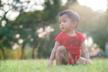 Toddler 2 year asian boy playing on green grass tree park