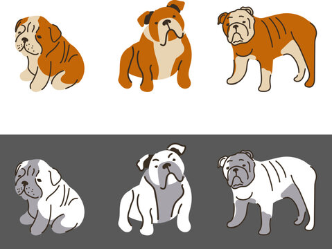 Bulldog breed, dog pedigree drawing. Cute dogs characters various poses, design for prints, adorable and cute english bulldog cartoon vector set. Pose , domestic pet illustration for logo, patterns