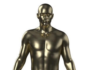 Fototapeta na wymiar 3D illustration of a male gold torso on a white background. metal mannequin.