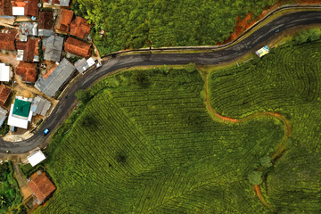 Green Hill Over the Mountain