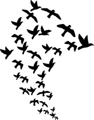 Fototapeta na wymiar Flock of flying birds png illustration