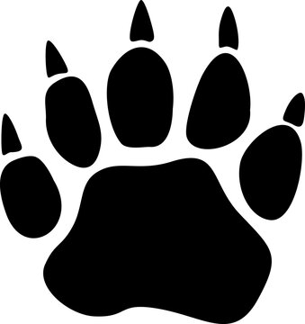 Bear Paw Png Illustration