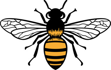 Bee Insect Color Png Illustration