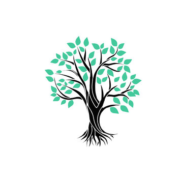 Illustration Tree with Roots