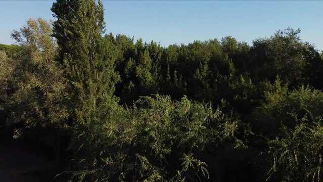 veduta aerea del Parco degli acquedotti, in Roma