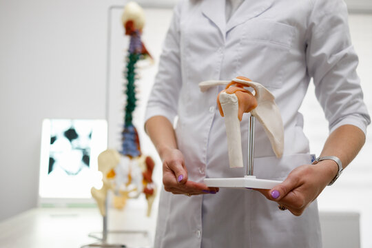 Female traumatologist doctor holding the shoulder joint model in office at the clinic