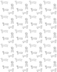 Seamless pattern with dachshund dog, dog poses dog breed, seamless pattern background.