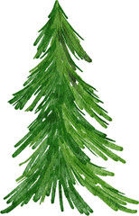 Watercolor hand drawn illustration of Christmas tree. Winter new year evergreen fir pine spruce plant. December season celebration design, holiday party print for invitations cards, isolated