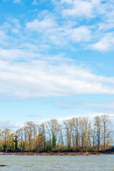 Water view in park at summer day in Vancouver, Canada, North America. Day time on September 2021.