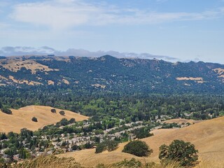 City plantations keep East Bay valleys green while surrounding hills bake in the summer heat near San Francisco, California