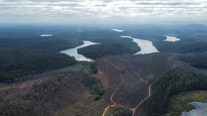 PARQUE ESTADUAL DO RIO DOCE - MINAS GERAIS