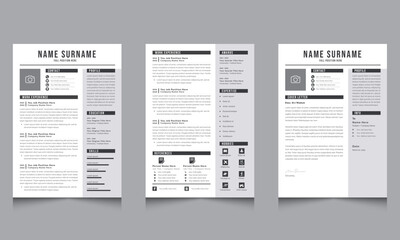 Fototapeta na wymiar Gray Sidebar with Dark line Professional Resume and Cover Letter Layout Set Vector Creative design