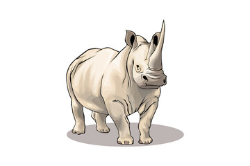 Obraz premium rhinoceros 