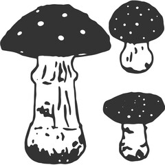 Mushroom Vintage Illustration Vector