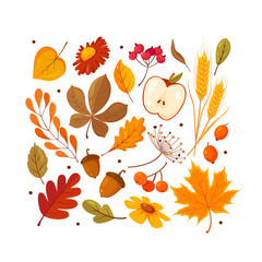Colorful vector set of various types of cute autumn herbs, leaves, flowers, berries, apples, acorns © Elen_Art