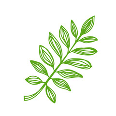 Green leaf sketch. Hand drawn vector illustration. Pen or marker doodle plant
