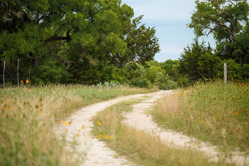 Isolated private secret lonely country trail path dirt road leading through a meadow into the trees of a woods in Texas