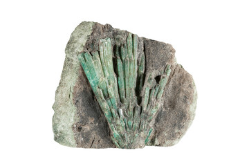 A sample of a natural mineral Beryl, Emerald (subclass of ring silicates) a bundle of elongated crystals in phlogopitic mica. Museum Mineral Series. Mineralogical sample on white