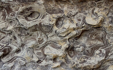 Closeup of the weathered surface of a sandstone building block in Dunfermline Abbey