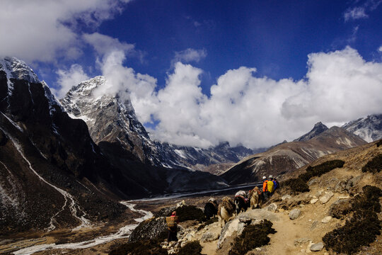 Chyakurwa Kharka.Dingboche. Imja Khola.Sagarmatha National Park, Khumbu Himal, Nepal, Asia.