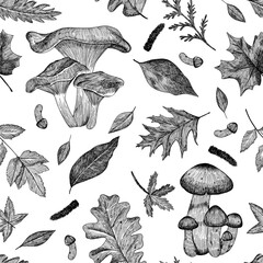Seamless pattern of mushrooms and leaves. Autumn background of different mushrooms and falling leaves. Hand-drawn in the style of engraving