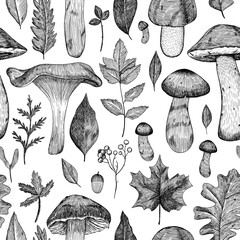 Seamless pattern of mushrooms and leaves. Autumn background of different mushrooms and falling leaves. Hand-drawn in the style of engraving	
