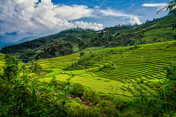 Fototapeta na wymiar Paysage de rizières en terrasses auVietnam près de Sapa. Rizières à flanc de colline au Vietnam