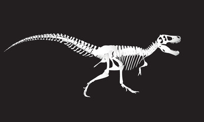 Dinosaur skeleton isolated on black background. Tyrannosaurus Rex. Prehistoric animal. Vector graphics