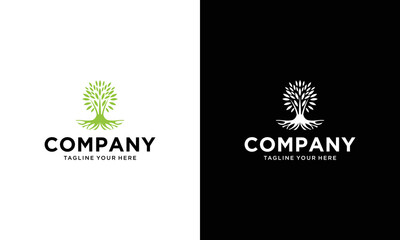Abstract vibrant tree logo design, root vector - Tree of life logo design inspiration isolated on a black and white background.