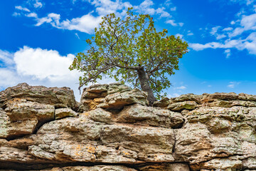 Mineral Wells State Park