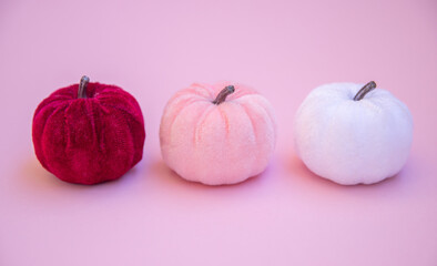 Three multi-colored pumpkins on a pink background, flatlay, isolated, pink Halloween, velvet pumpkin surface, wallpaper for the holiday, autumn.
