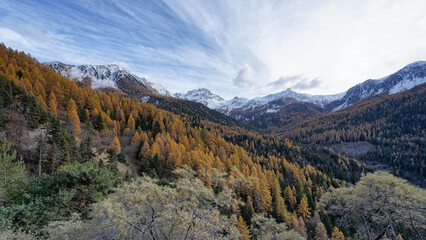Fototapeta na wymiar Montagne enneigée - Embrun - Hautes Alpes