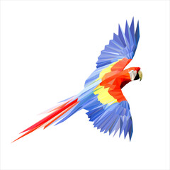 Colorful flying parrot , Parrot vector © Ulugbek