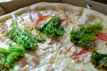 Fresh cooked pizza. Delicious pizza with cheese, tomatoes and lettuce