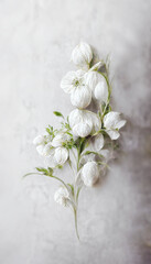 white flower vintage on blur background