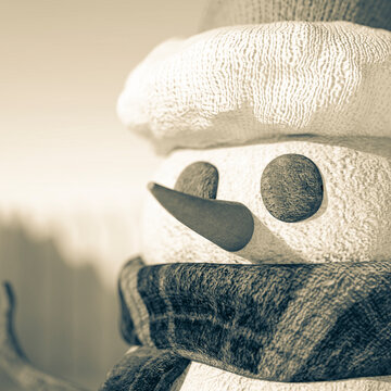 snow man cartoon id picture profile