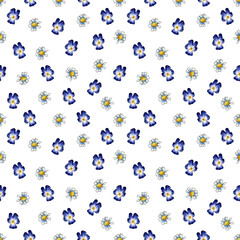 seamless watercolor pattern with roman chamomile and violet flowers on a white background.