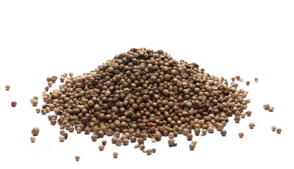 Pile coriander seeds isolated on white 