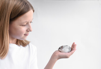 Little fluffy hamster in children's hand. Selective focus/ Animal care