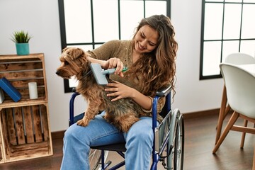Young beautiful hispanic woman combing dog hair sitting on wheelchair at home