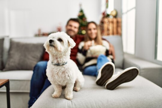 Young hispanic couple smiling happy watching movie sitting on the sofa with dog at home.