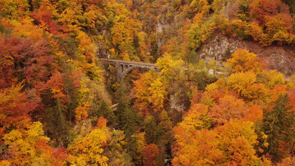 fall in the mountains