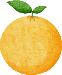 Set of watercolor fruits and vegetables illustration