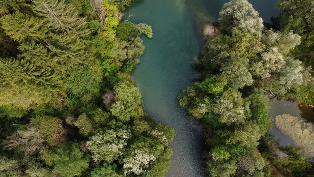 RIver Sava Slovenia