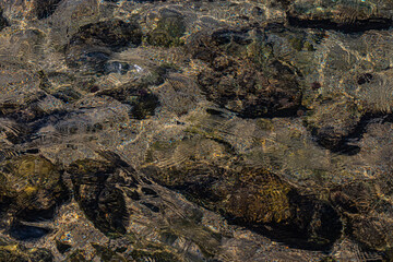 stones in clear sea water
