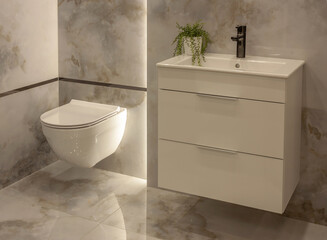 The bathroom overlooks the closed toilet, tap, cupboard, sink, plant and stone tiles on the wall. - 528107926