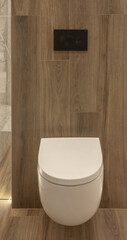 Part of the bathroom with a view of the closed toilet and wood-like tiles on the wall. - 528107971