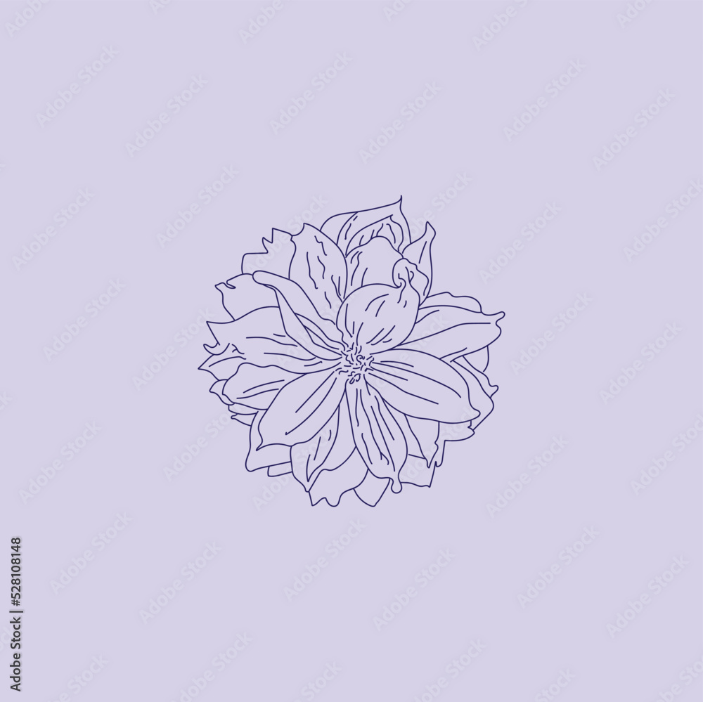 Wall mural hand drawn vector flat flower illustration dahlia pinnata