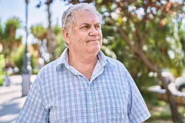 Middle age grey-haired man smiling confident walking at park