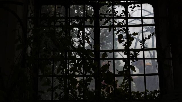 Vista desde el interior de una ventana con vegetaci&oacute;n  y gente paseando fuera.